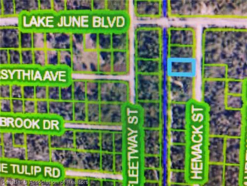 959 Hemack St, Lake Placid, FL, 33852 | Card Image