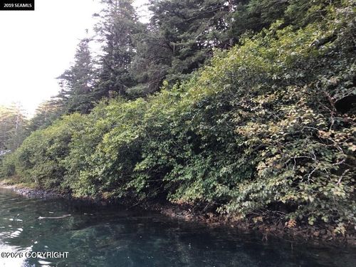 Lot 58 Nhn Legal Address Only, Elfin Cove, AK, 99825 | Card Image