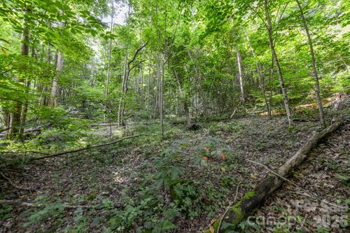 1-### Board Tree Road, Marshall, NC, 28753 | Card Image