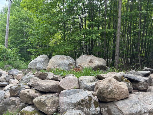 3191 Mountain View Rd, Home with 0 bedrooms, 0 bathrooms and null parking in Killaloe ON | Image 18