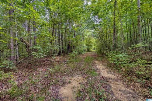 4562-3350 County Road 228, Clanton, AL, 35045 | Card Image