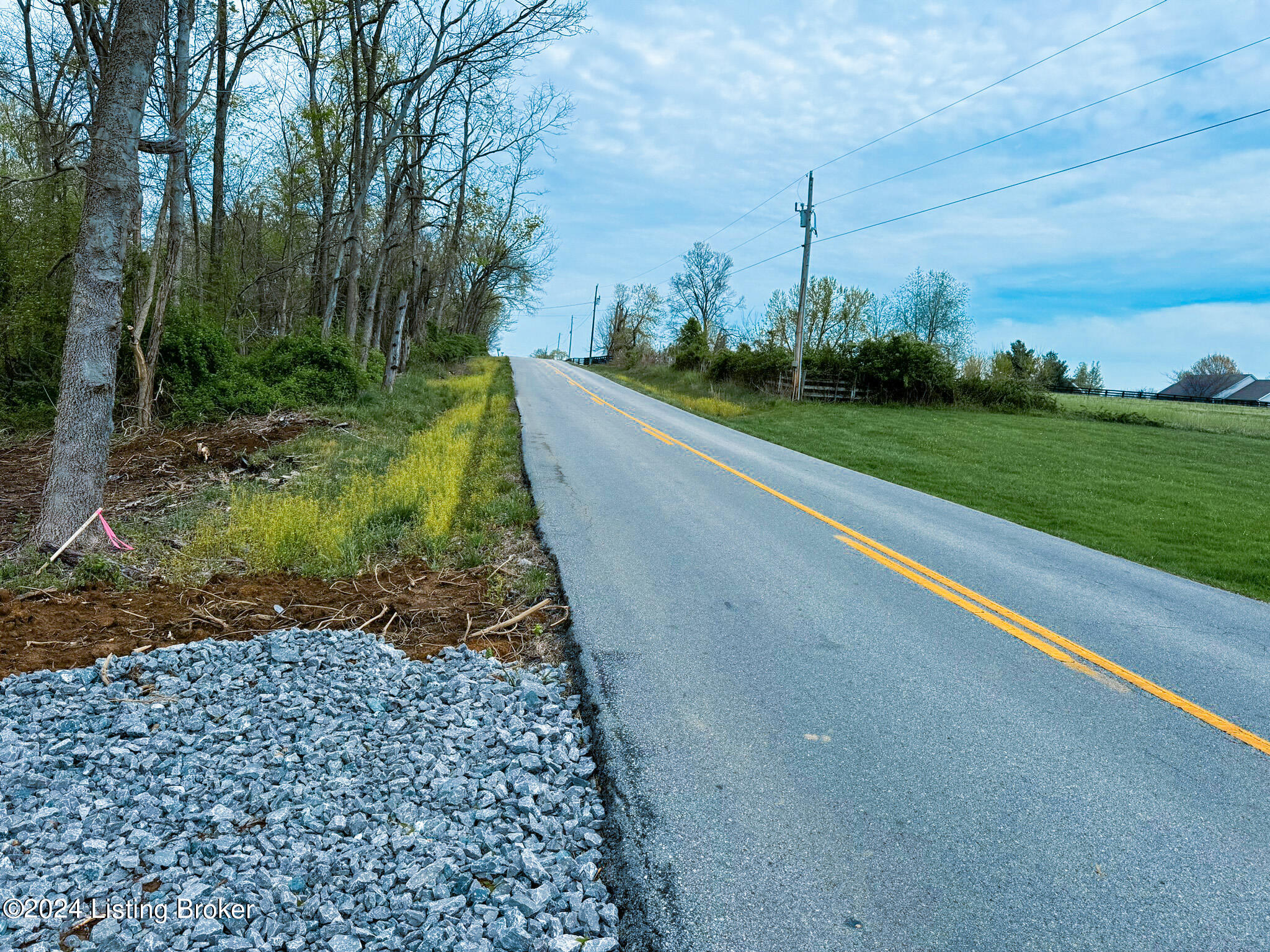 Land in Shelbyville 5