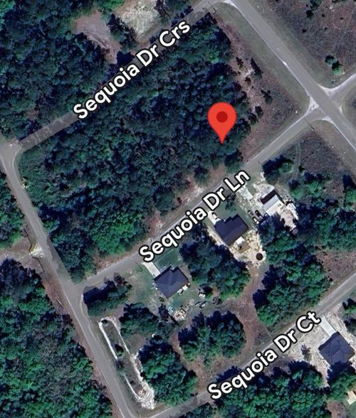 33 Sequoia Drive Ln, OCKLAWAHA, FL, 32179-4323 | Card Image