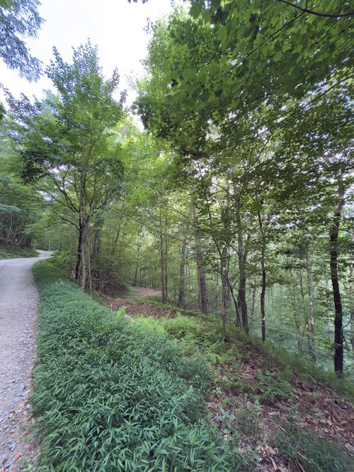 LOT 20 Locust Ln, Morganton, GA, 30560 | Card Image