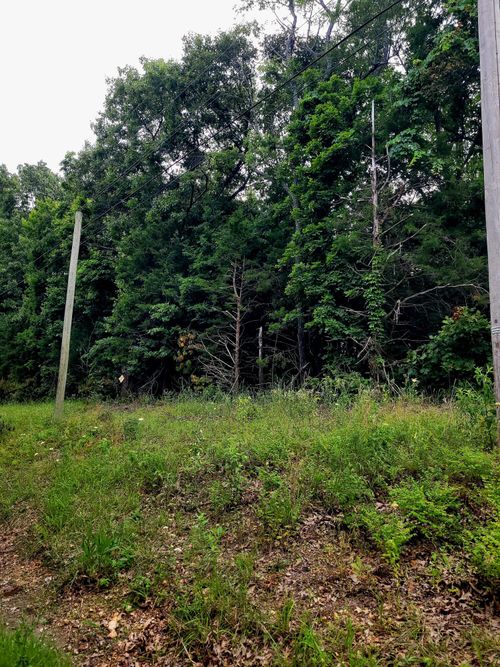 Lot 2 Tate Rd, Ridgedale, MO, 65739 | Card Image
