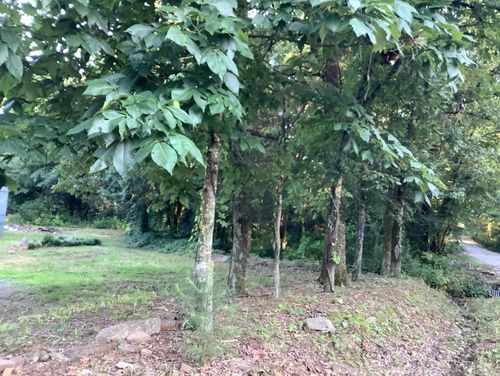148 Wolf Hollow Rd, Bald Knob, AR, 72010-9167 | Card Image