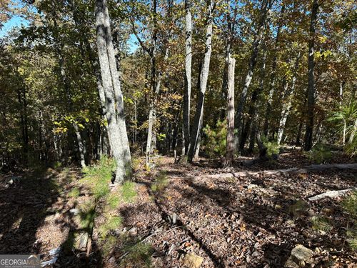 TR 3 Culp Lake Rd, Cedartown, GA, 30125 | Card Image