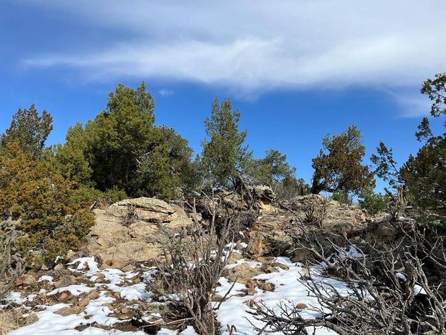 28 Turkey Ridge Rd, Home with 0 bedrooms, 0 bathrooms and null parking in Walsenburg CO | Image 25