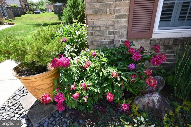 915 Boom Way, Townhouse with 3 bedrooms, 4 bathrooms and null parking in ANNAPOLIS MD | Image 52