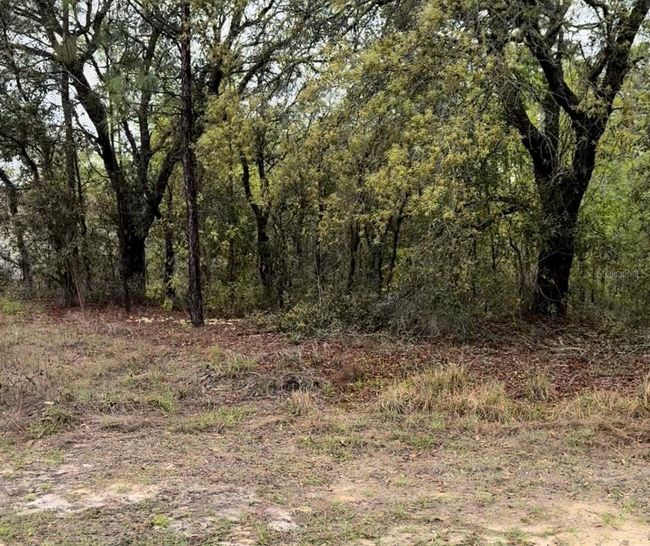 2543 W Wilmington Loop, Home with 0 bedrooms, 0 bathrooms and null parking in DUNNELLON FL | Image 8
