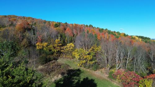 7338 Spear St, Charlotte, VT, 05445-8229 | Card Image