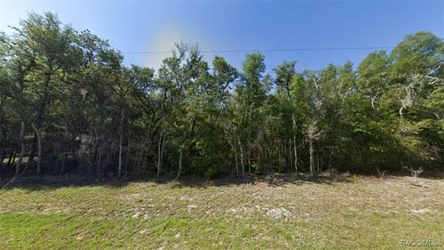 1258 E La Salle St, HERNANDO, FL, 34442-2653 | Card Image