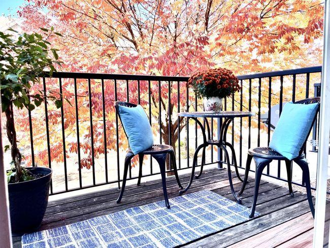 Main level Deck with colorful Fall leaves. | Image 32
