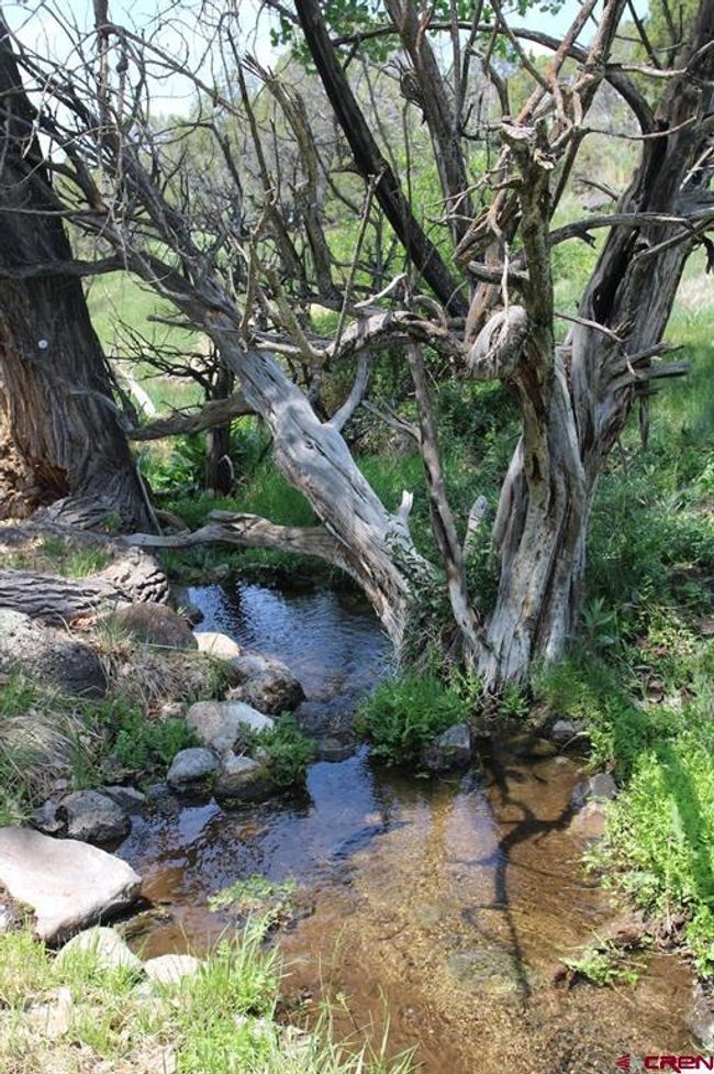 14433 2600 Rd, Home with 0 bedrooms, 0 bathrooms and null parking in Cedaredge CO | Image 27