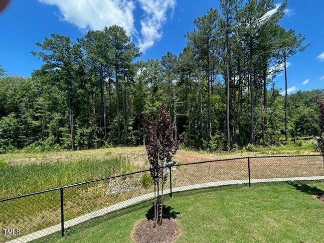 Wooded View | Image 18