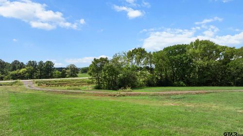 16622 Caeli Heights Ct, Winona, TX, 75792-5506 | Card Image