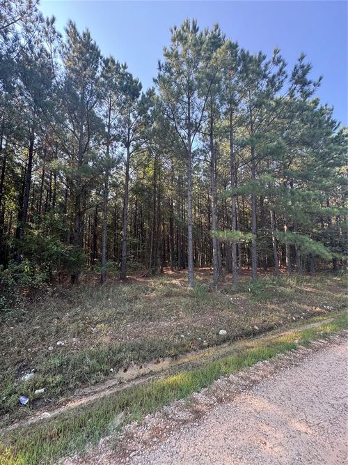 532 Pine Hills Lot 128 Track 1 Road, Broken Bow, OK, 74728 | Card Image