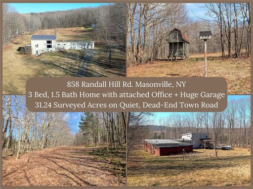 858 Randall Hill Rd, Sidney Center, NY, 13839-2114 | Card Image