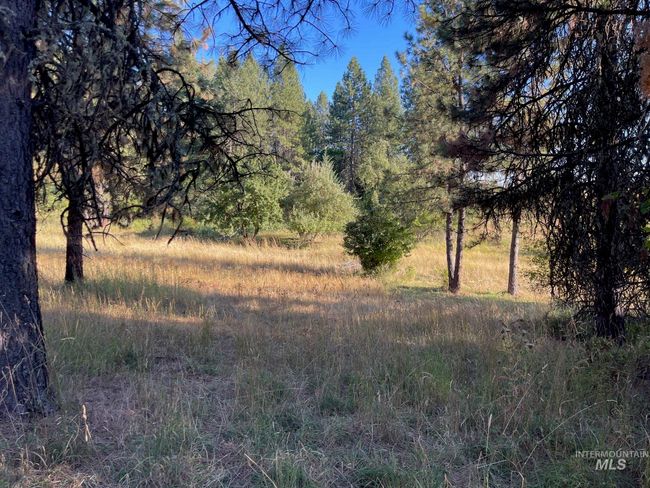 181 Harris Ridge Loop, House other with 3 bedrooms, 3 bathrooms and 2 parking in Kooskia ID | Image 48