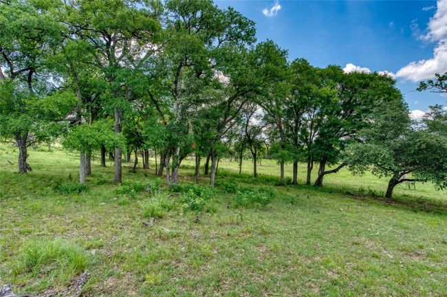 9 Miller Creek Blf, Home with 0 bedrooms, 0 bathrooms and null parking in Briggs TX | Image 12