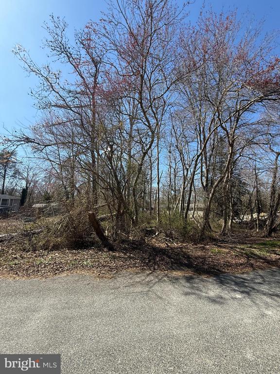 Land in MILLVILLE 3