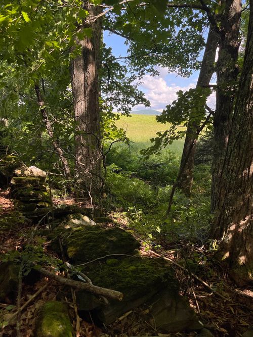 00 Ledge Hill Rd, East Calais, VT, 05650 | Card Image