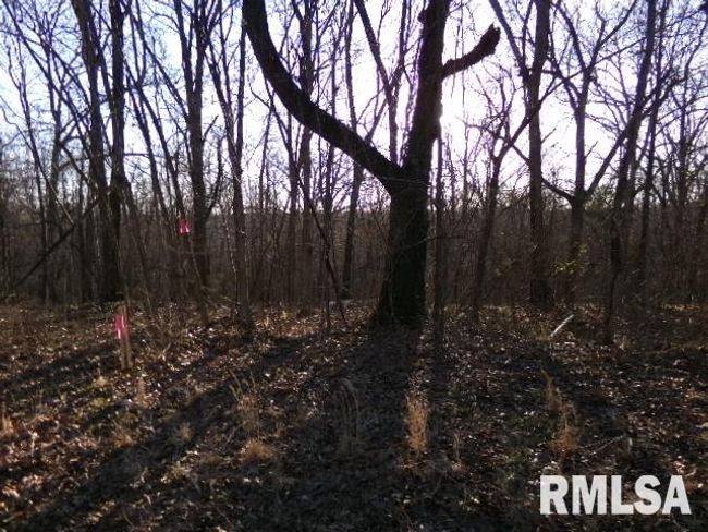 2225 Route 34, House other with 4 bedrooms, 2 bathrooms and null parking in Rosiclare IL | Image 50