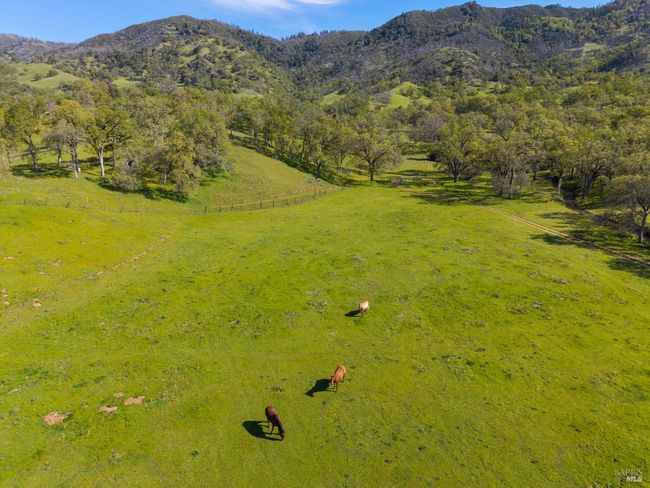 10950 Bachelor Valley Rd, House other with 3 bedrooms, 2 bathrooms and 20 parking in Witter Springs CA | Image 22