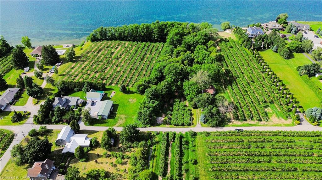 Farm in Beamsville 2