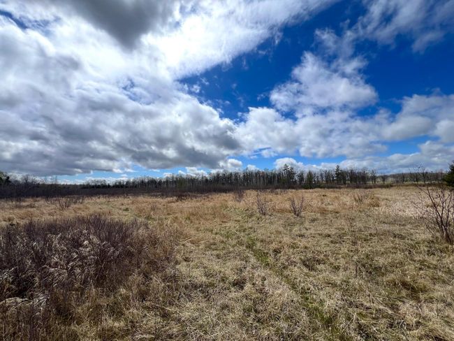 62126 Tamarack River Rd, Home with 0 bedrooms, 0 bathrooms and null parking in SANDSTONE MN | Image 32