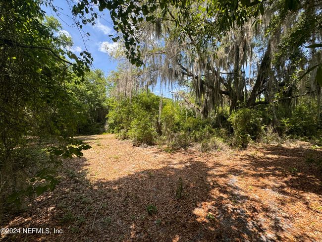 359 Park Ave, Home with 0 bedrooms, 0 bathrooms and null parking in JACKSONVILLE FL | Image 15