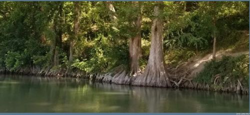 1331 Misty Ln, Spring Branch, TX, 78070-5707 | Card Image