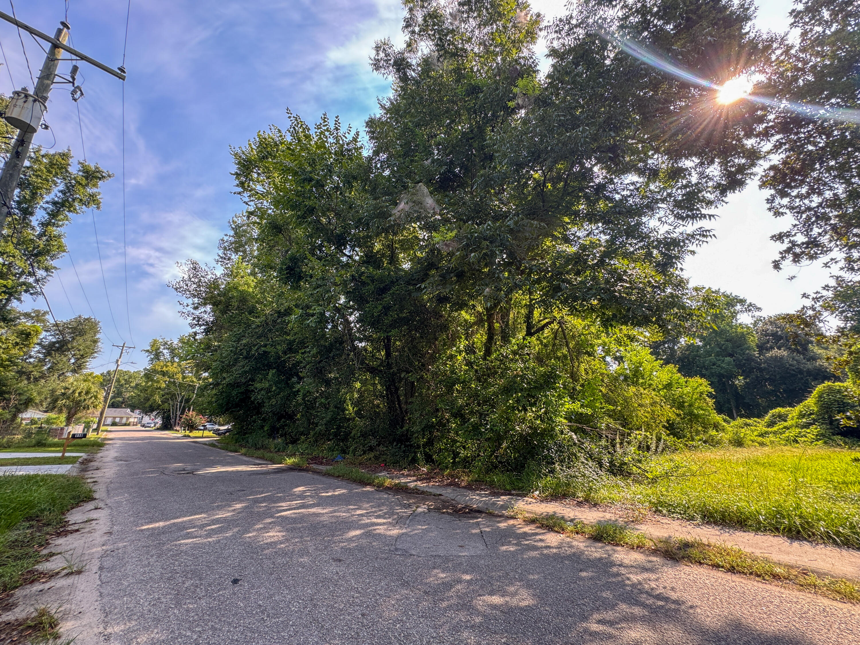 Land in Walterboro 3