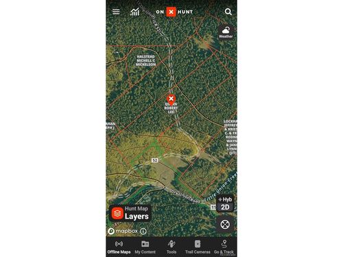 6020 Black Swan, Leadville, CO, 80461 | Card Image