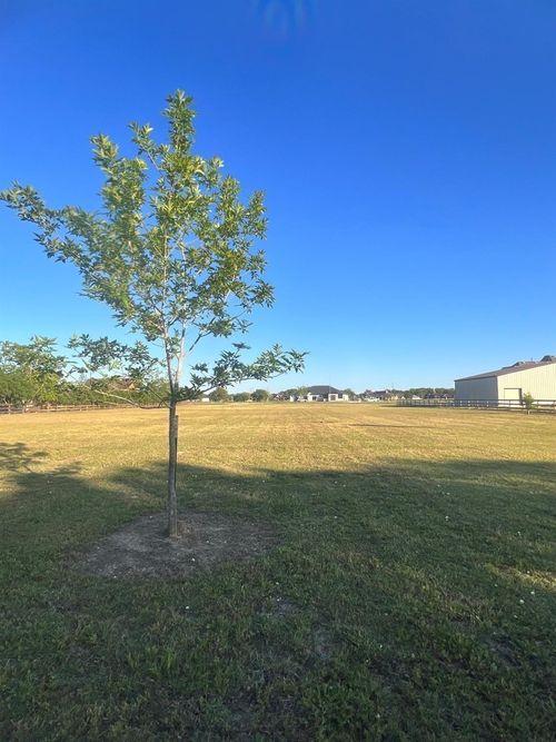 13702 Lakeview Meadow Dr, Richmond, TX, 77469-8375 | Card Image