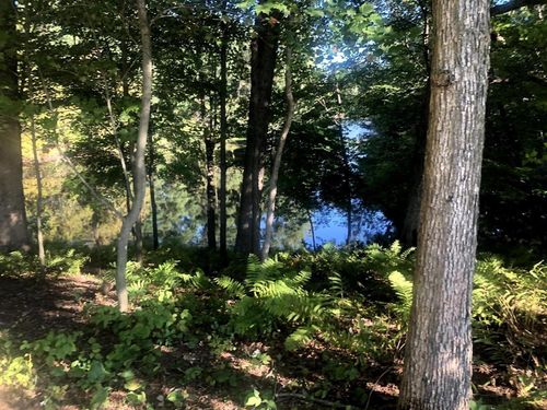 N1903 Virginia Drive, DAYTON, WI, 54981 | Card Image