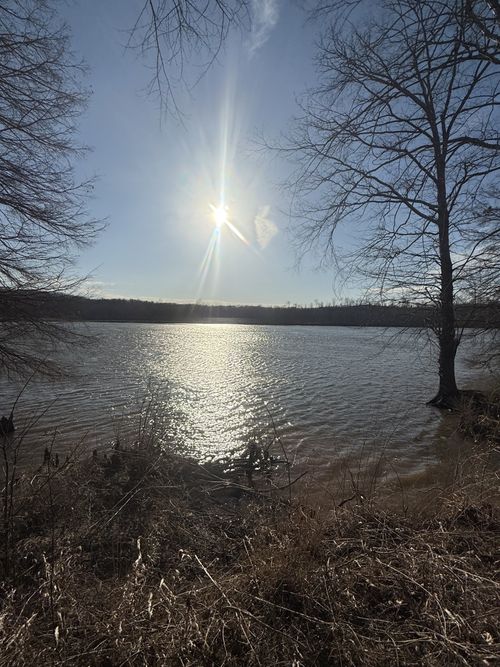 415 Hardin Bottom Rd, Clifton, TN, 38425-4005 | Card Image