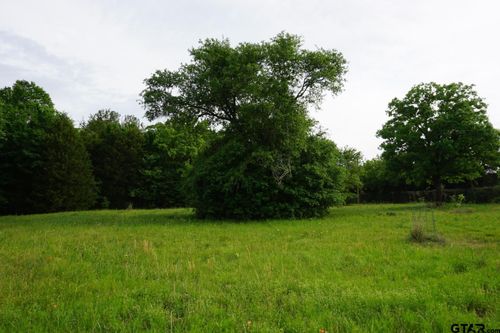 TBD County Road 1200, Malakoff, TX, 75148 | Card Image