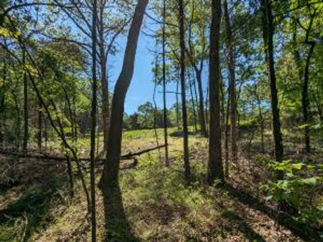 27B & 28B Shelby Lane, Home with 0 bedrooms, 0 bathrooms and null parking in Cecil AR | Image 25