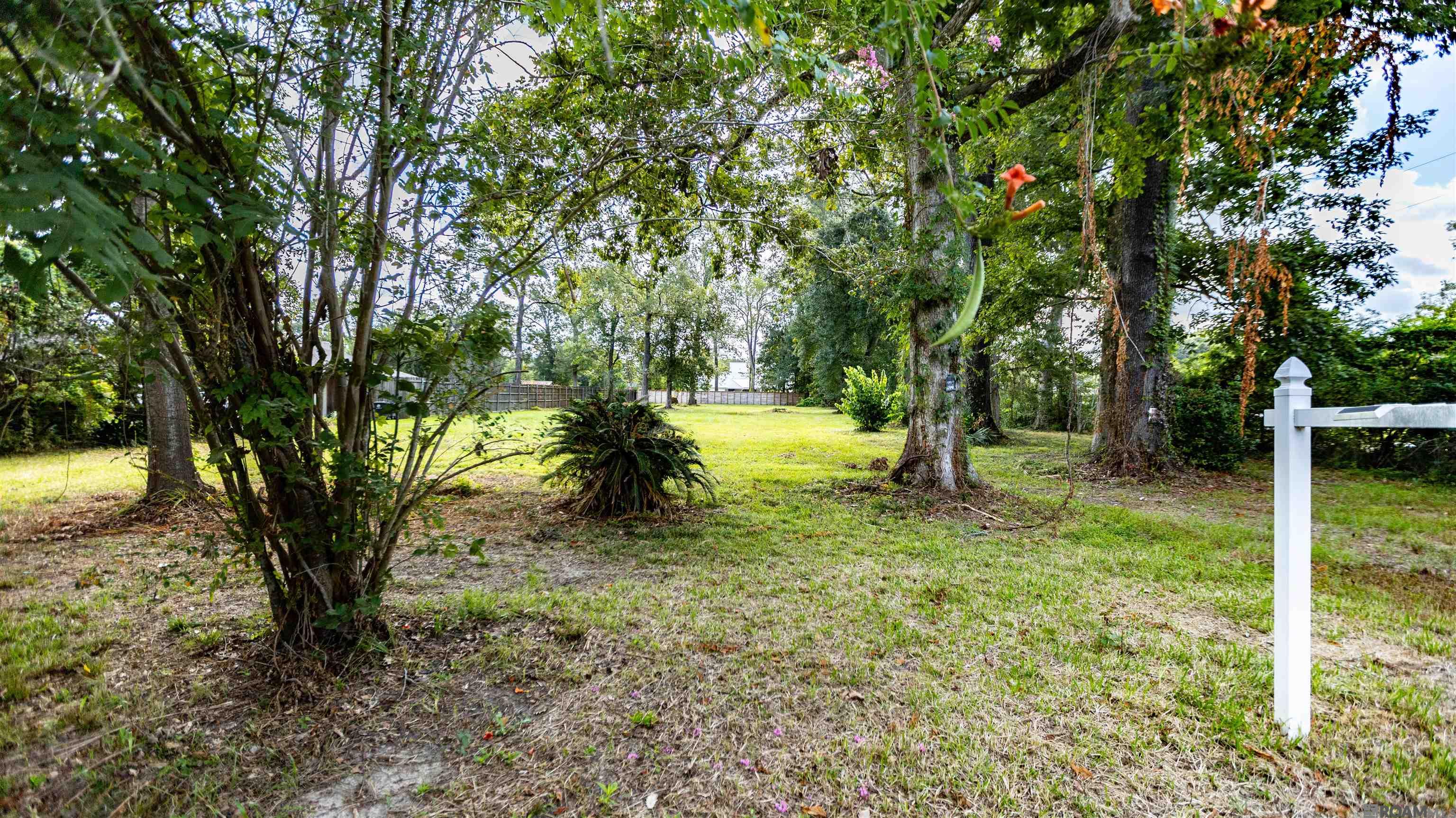 Land in Baton Rouge 3