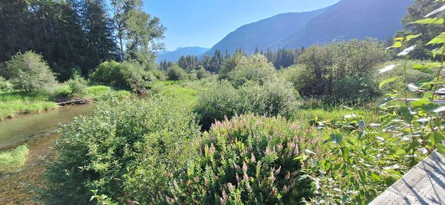 Area Attraction - Bull River area | Image 80