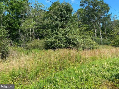 TBD Green Glade Rd, SWANTON, MD, 21561 | Card Image