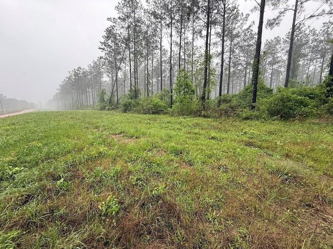 0 Richardson Rd E, Home with 0 bedrooms, 0 bathrooms and null parking in Livingston TX | Image 47