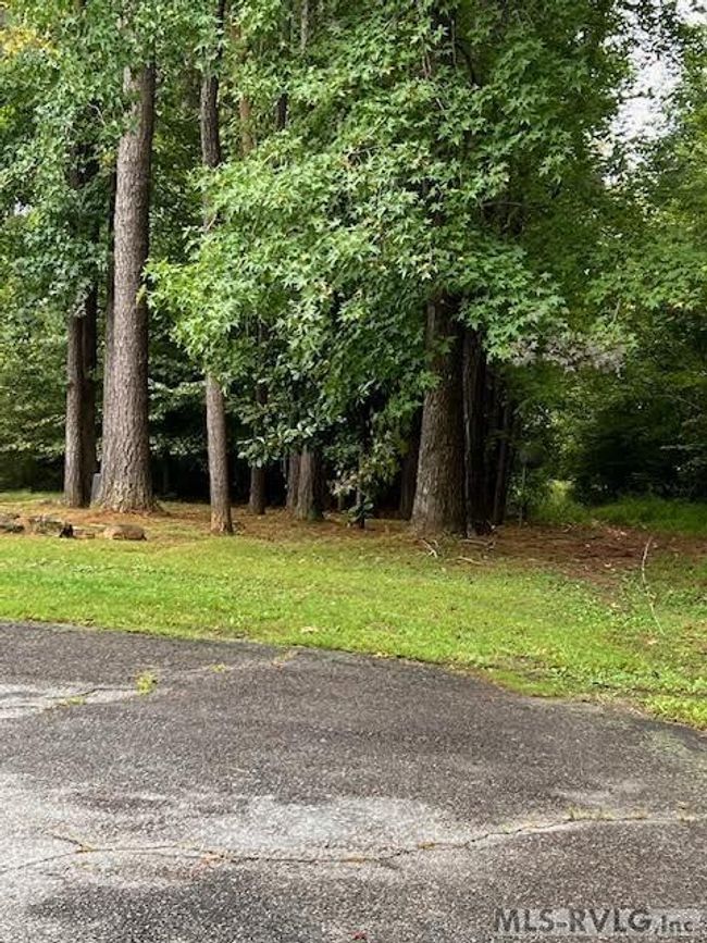 000 2 Nd Ave, Home with 0 bedrooms, 0 bathrooms and null parking in Lawrenceville VA | Image 7