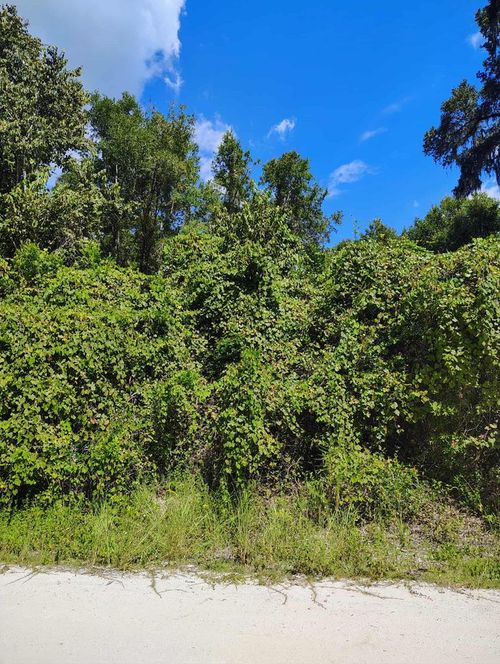 TBD Ne 386th Ave, Old Town, FL, 32680 | Card Image