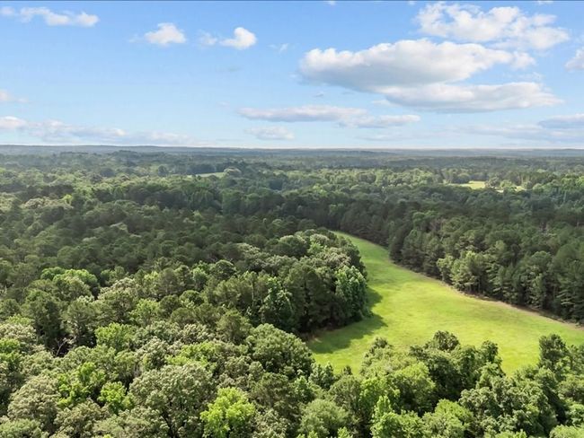 000 An County Road 100, Home with 0 bedrooms, 0 bathrooms and null parking in Elkhart TX | Image 8