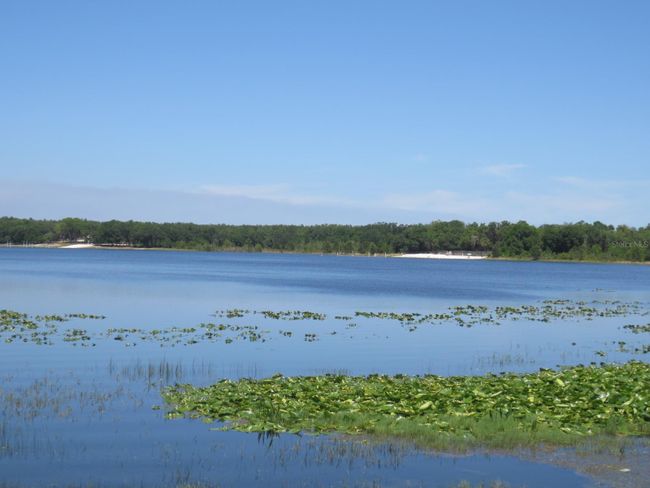 Ocala National Forest Activity | Image 88