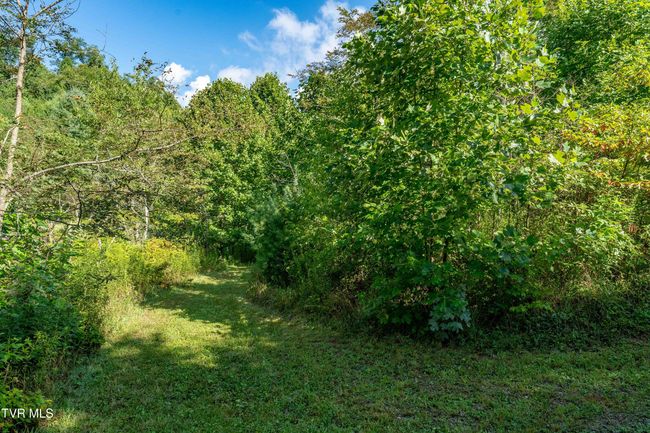 306 Bear Branch Rd, Home with 0 bedrooms, 0 bathrooms and null parking in Roan Mountain TN | Image 57
