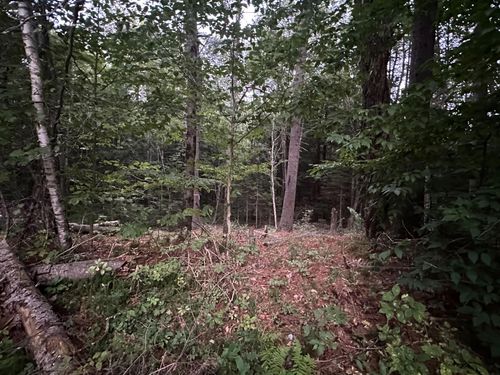 131 Adams Dr, Washington, NH, 03280-3498 | Card Image