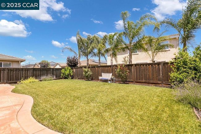 Back Yard | Image 28
